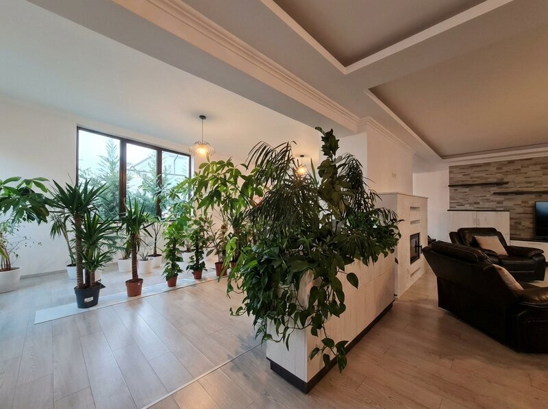 Private Estate Vibes | 1.000 sqm Land | Balotesti